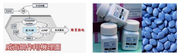 威而鋼作用原理 威而鋼作用原理